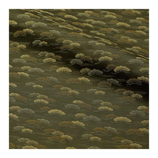 a n MD jq } 10cmP ؂蔄