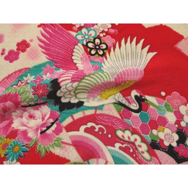 a n  z߂  () 10cmP ؂蔄