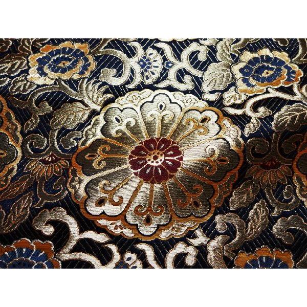 En swD leO () 10cmP ؂蔄