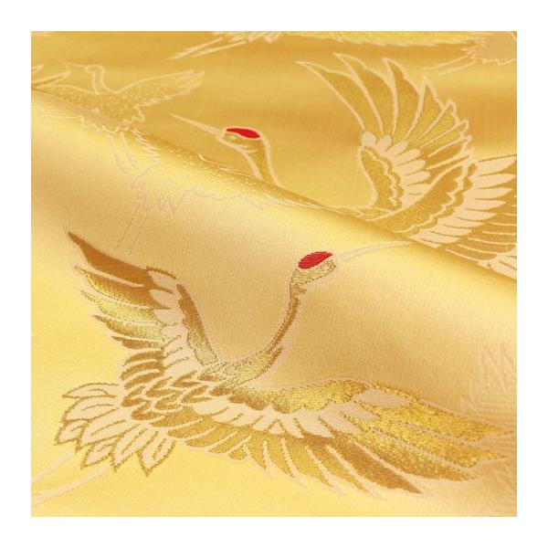 a n s wD En  (K) 10cmP ؂蔄