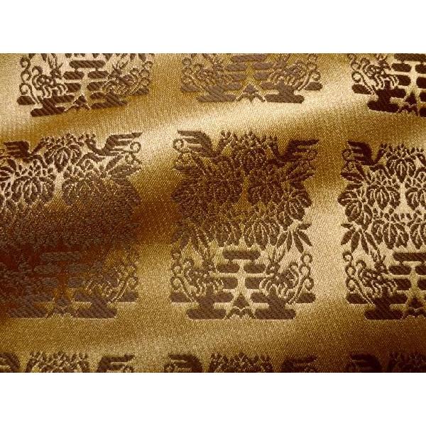 a n En s wD E 10cmP ؂蔄