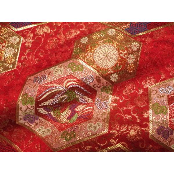 a n En s wD Tb () 10cmP ؂蔄