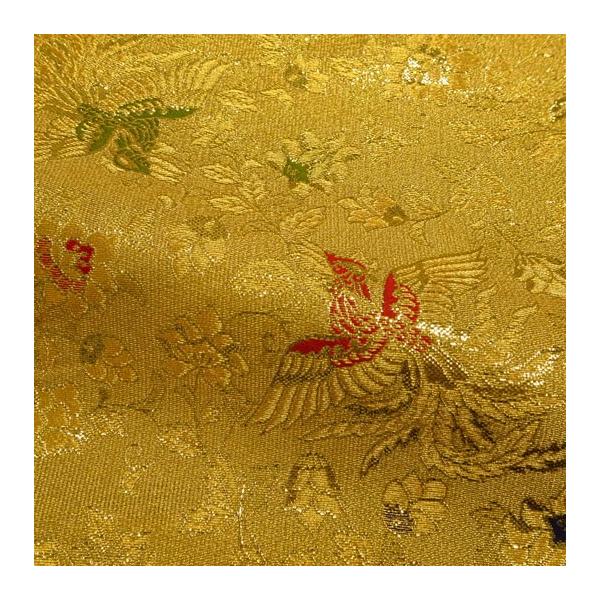 a n En s wD nP 10cmP ؂蔄