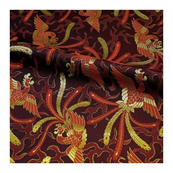 a n En s wD ΉP () 10cmP ؂蔄