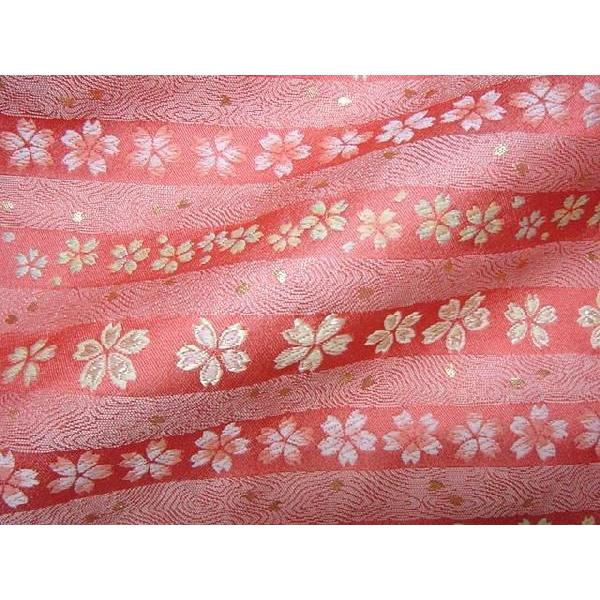 an En swD ԓɍU炵 () 10cmP ؂蔄