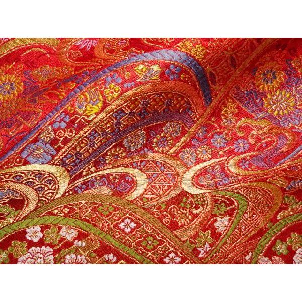 an En swD ̂gɋeO () 10cmP ؂蔄