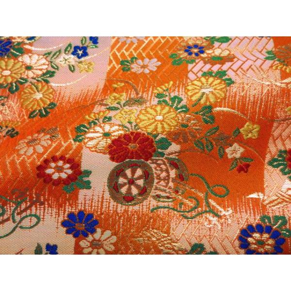 an En swD w_iqnԎ () 10cmP ؂蔄