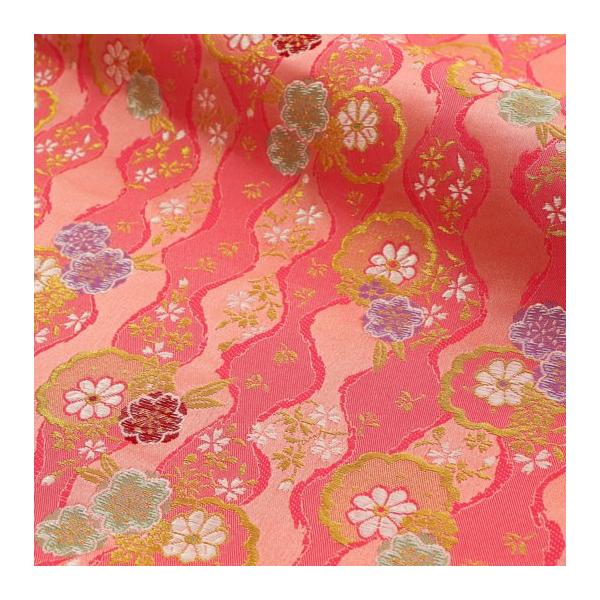 an En swD 낯Oԕ ( 10cmP ؂蔄