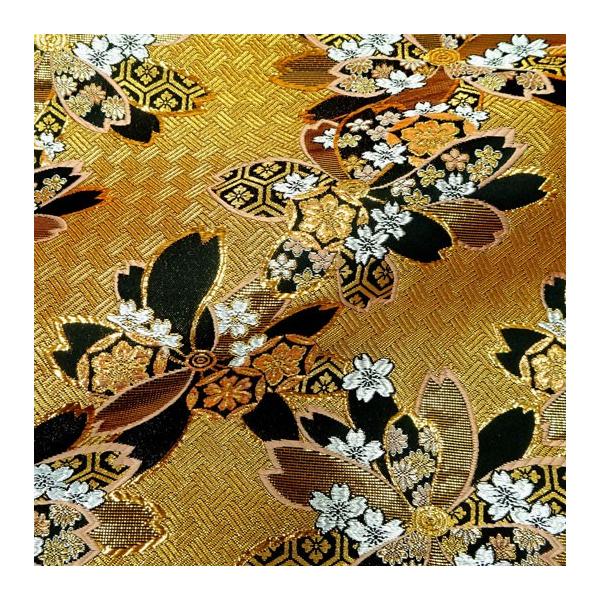 an En swD ԑn () 10cmP ؂蔄