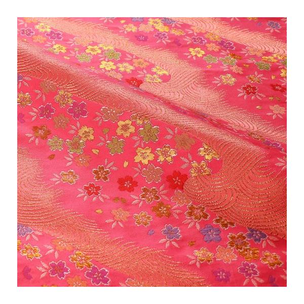 an En swD g 10cmP ؂蔄