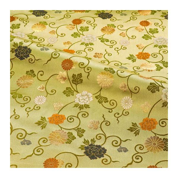 a n En swD neO 10cmP ؂蔄