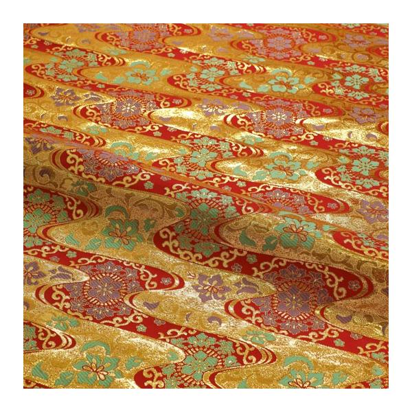 a n En swD ؕ 10cmP ؂蔄