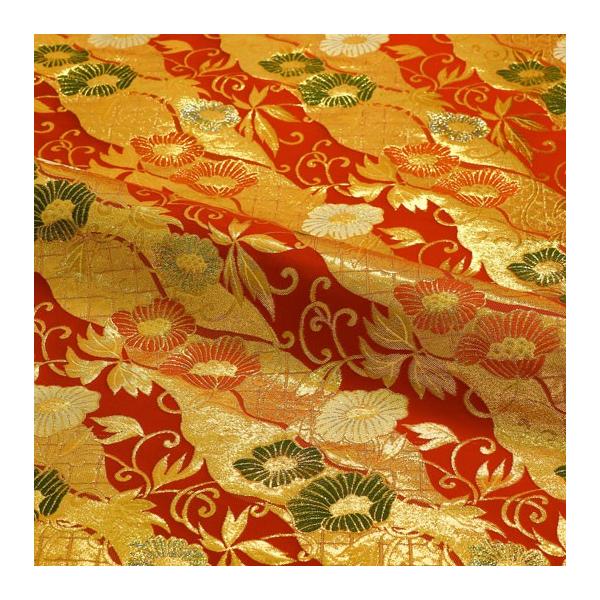 a n En swD  10cmP ؂蔄