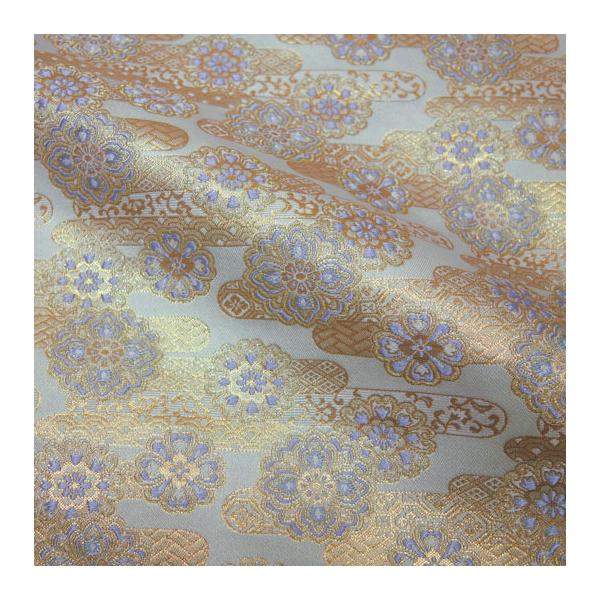 an En swD ؕ  10cmP ؂蔄