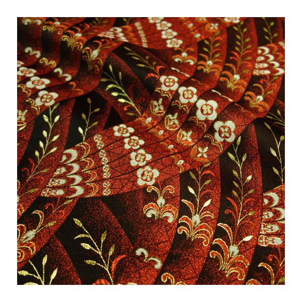 an En swD l 10cmP ؂蔄