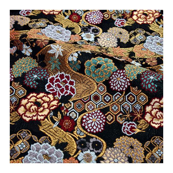 an En swD Oe () 10cmP ؂蔄