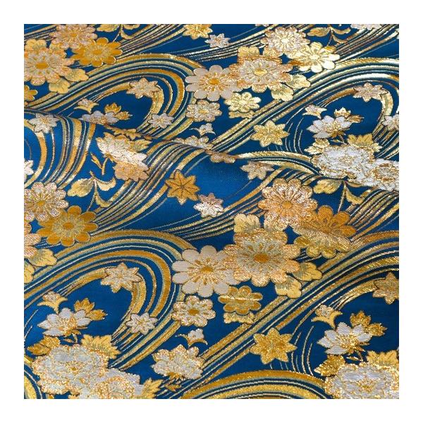 an En swD  () 10cmP ؂蔄