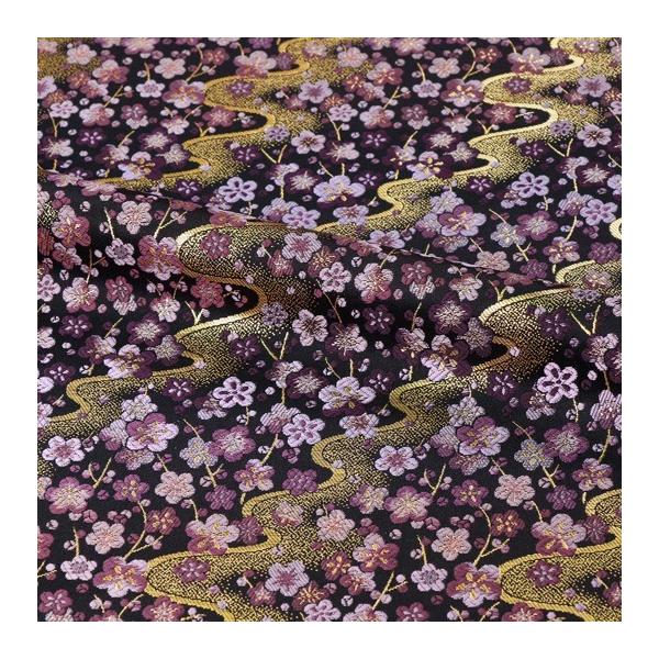 a n En swD }~ () 10cmP ؂蔄