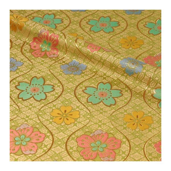 an En nOɉ (ᑐF) 10cmP ؂蔄