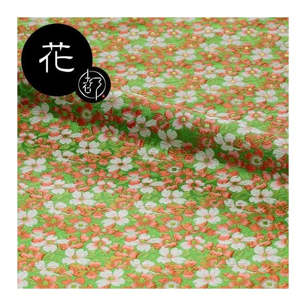 a n En swD Ԗ (GF) 10cmP ؂蔄