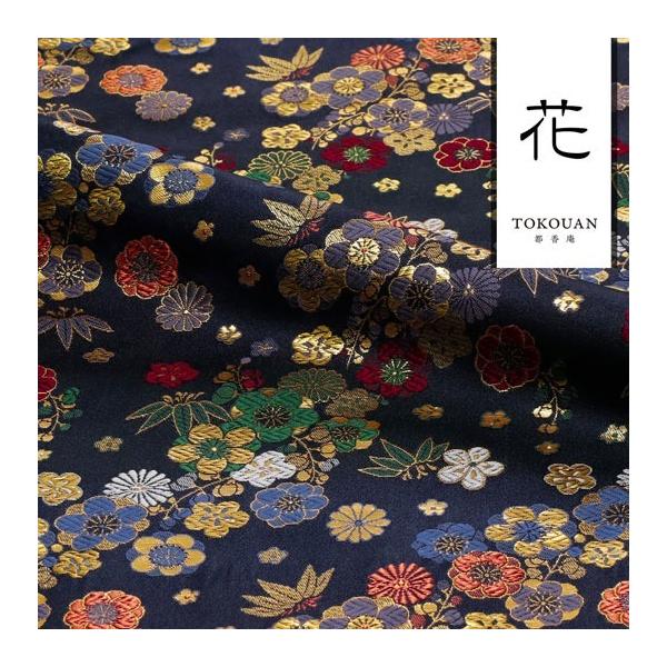 an En swD ~} () 10cmP ؂蔄