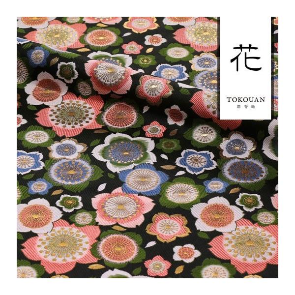 an En swD  () 10cmP ؂蔄