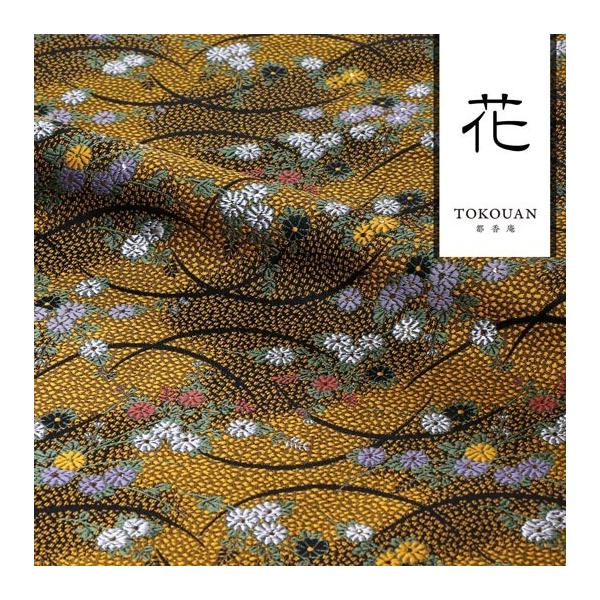 a n En swD LnIŏe 10cmP ؂蔄