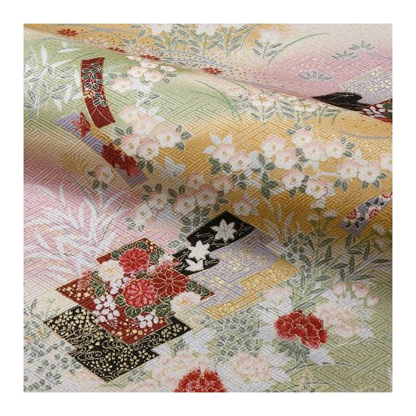 a n  ʗFT ԏH () 10cmP ؂蔄