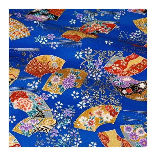 a n  ʗFT n () 10cmP ؂蔄