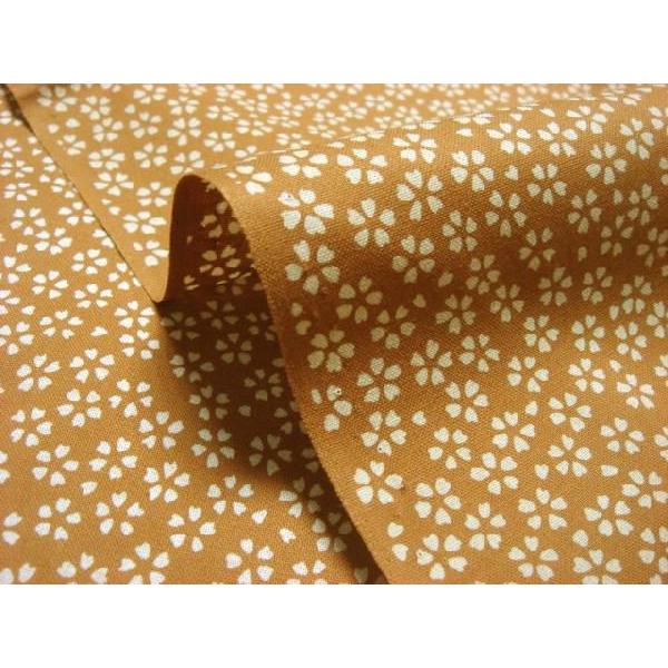 a n  ߂񐶒n  N (炵) 1mP ؂蔄