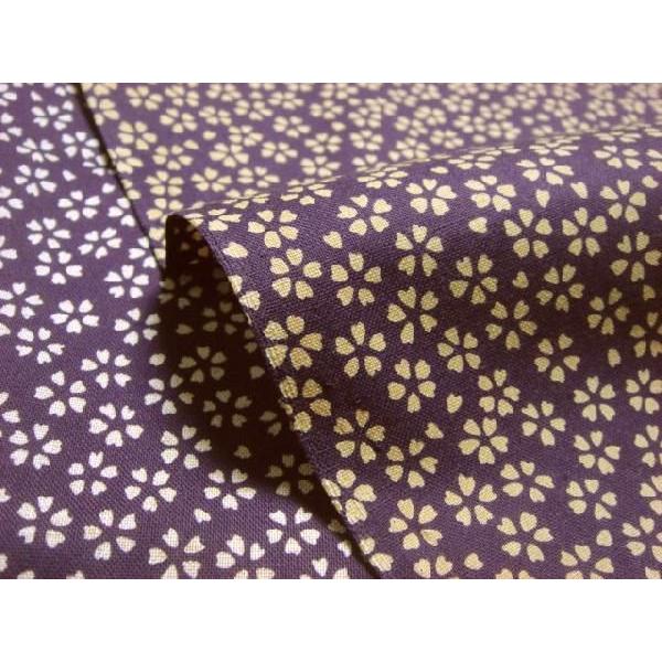 a n  ߂񐶒n  N (Ñ㎇) 1mP ؂蔄