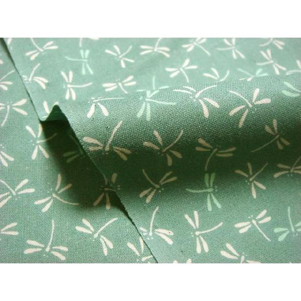 a n  ߂񐶒n  g{ (ΐ) 1mP ؂蔄