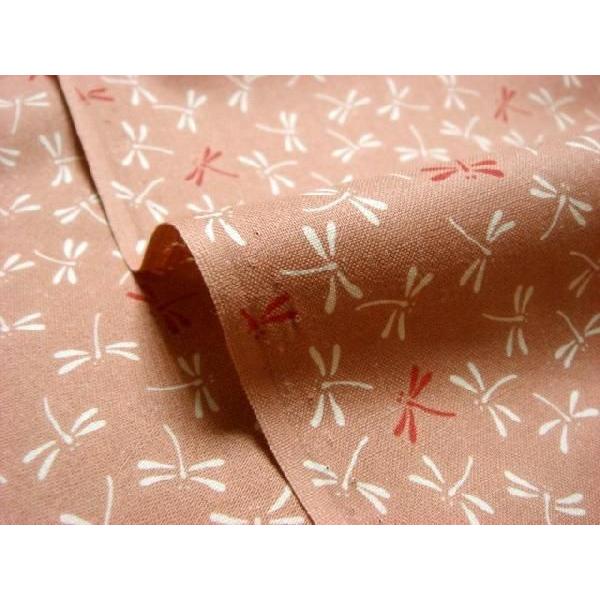 a n  ߂񐶒n  g{ (B) 1mP ؂蔄