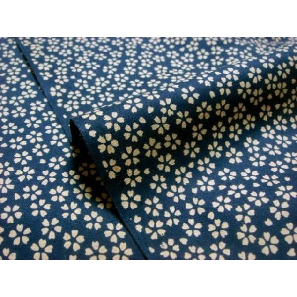 a n  ߂񐶒n  N () 1mP ؂蔄