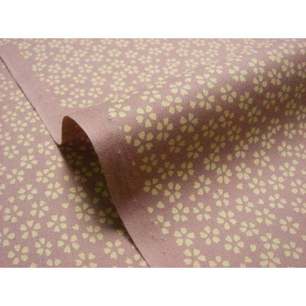 a n  ߂񐶒n  N () 1mP ؂蔄