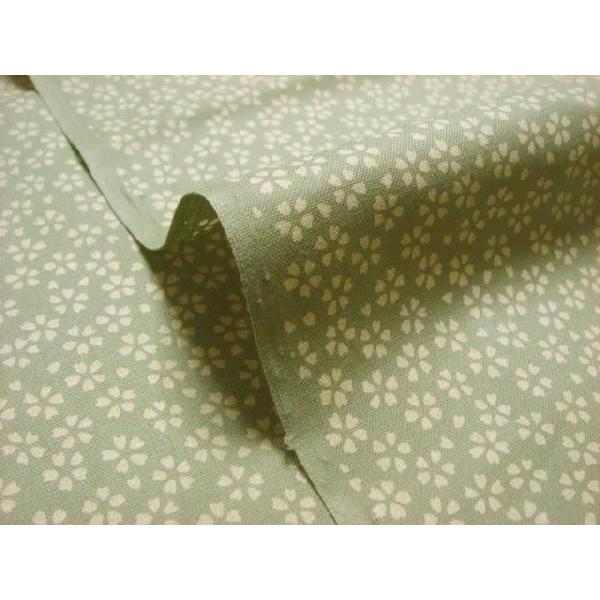 a n  ߂񐶒n  N () 1mP ؂蔄