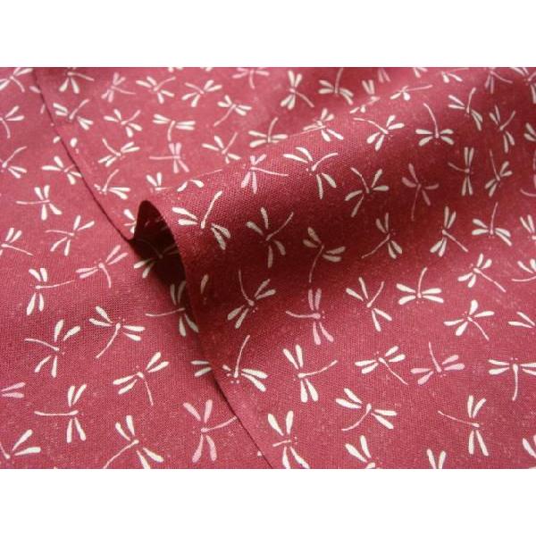 a n  ߂񐶒n  g{ () 1mP ؂蔄