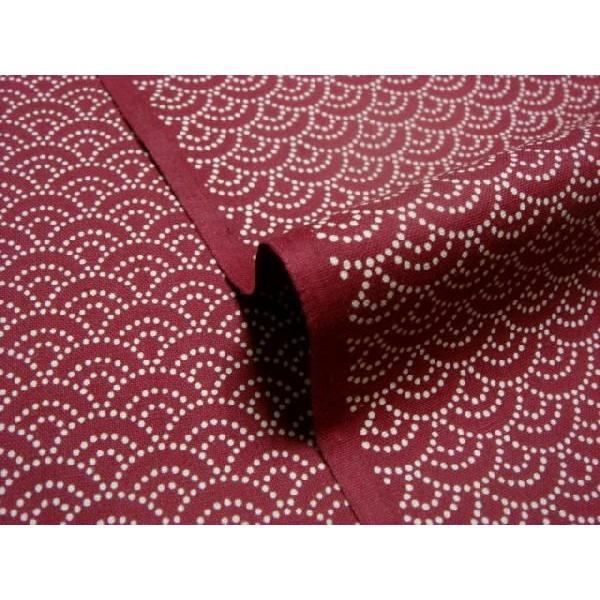 a n  ߂񐶒n  Cg () 1mP ؂蔄