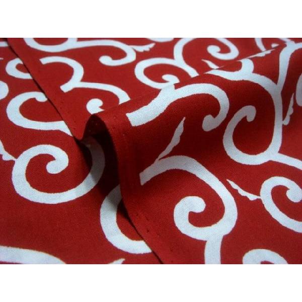 a n  ߂񐶒n E () 1mP ؂蔄