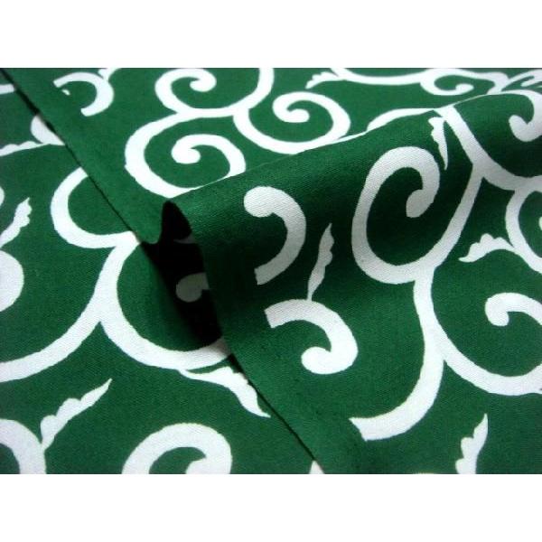 a n  ߂񐶒n E () 1mP ؂蔄