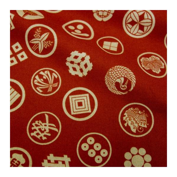 a n  ߂񐶒n ۖ () 1mP ؂蔄