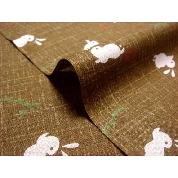 a n  ߂񐶒n e (y) 1mP ؂蔄