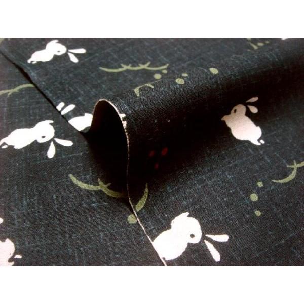 a n  ߂񐶒n e () 1mP ؂蔄