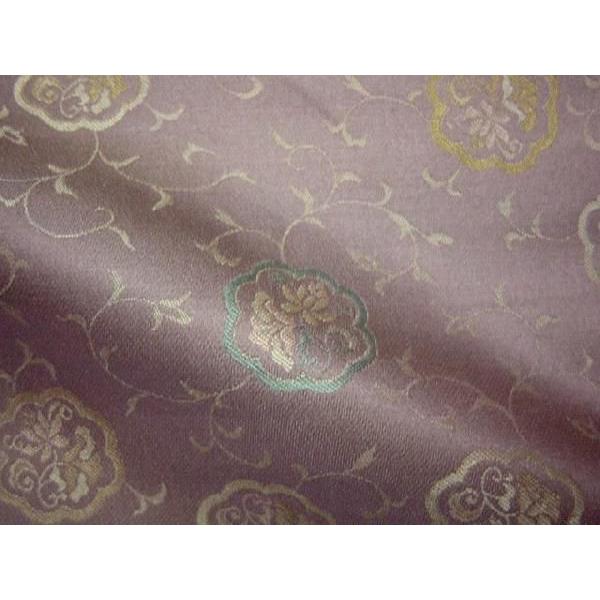 a n s wD  ї ѐFԗֈ 10cmP ؂蔄