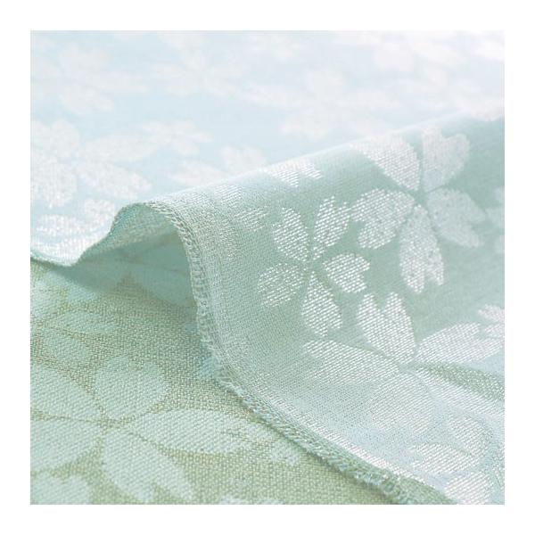 a n    Еt  (|) 10cmP ؂蔄