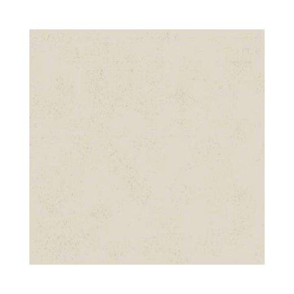 ACJH ە FYAA1896ZMN Z[oX[p 3×8(3×935×2 455mm)TCY ysz