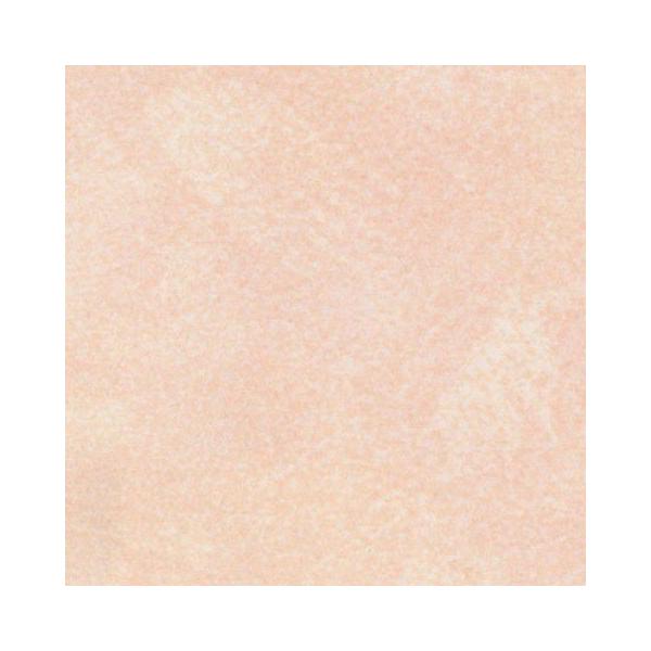 ACJH ە FYAA1964ZMN Z[oX[p 3×8(3×935×2 455mm)TCY ysz