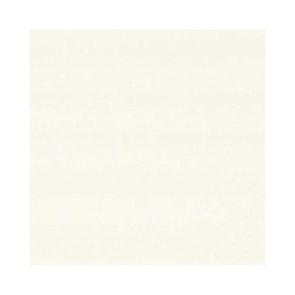 ACJH PF FYJA6200ZYN19 Z[oX[p 3×8(3×935×2 455mm)TCY ysz