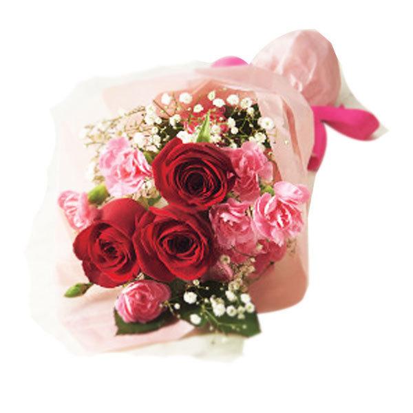 バラとスプレーカーネーションの花束 母の日 21 ブーケ 薔薇 生花 フラワー メーカー直送 送料無料 311 21 6727 015バラ スプレーカーネーション花束 トクトクショッピング 通販 Paypayモール