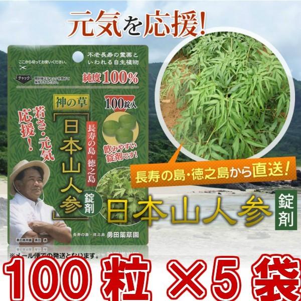 日本山人参 錠剤 5袋セット サプリ 1袋 100錠入り ヒュウガトウキ 健康